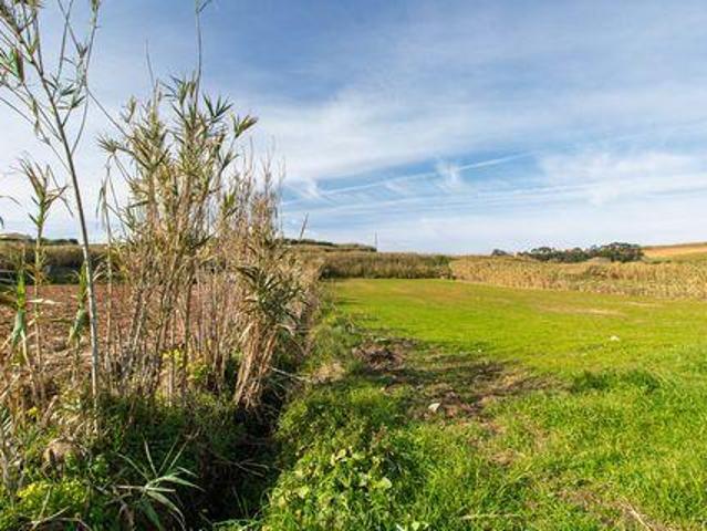 Terreno venda em Mafra, Lisboa