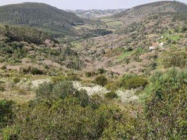 Terreno venda em Mafra, Lisboa