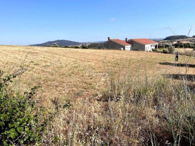 Terreno venda em Mafra, Lisboa