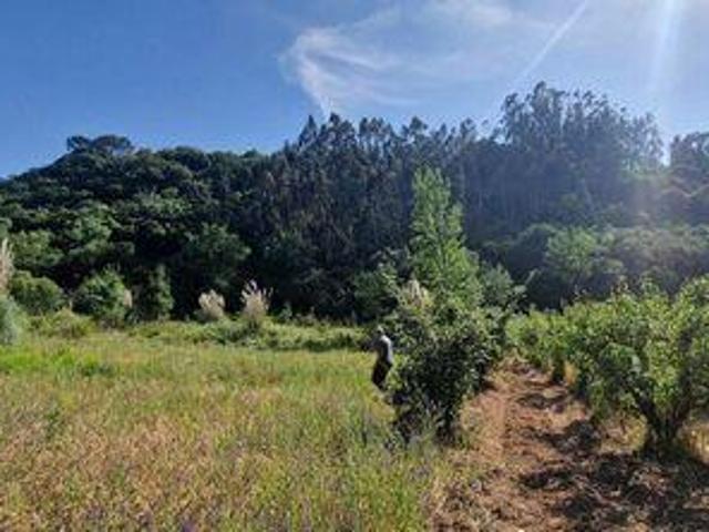 Terreno venda em Mafra, Lisboa