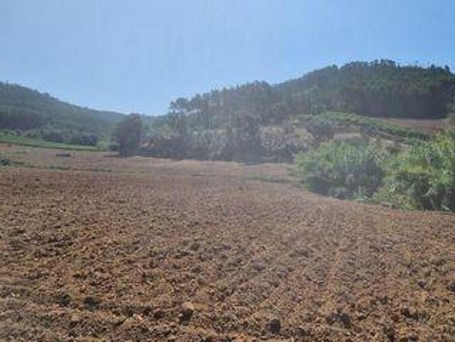 Terreno venda em Mafra, Lisboa