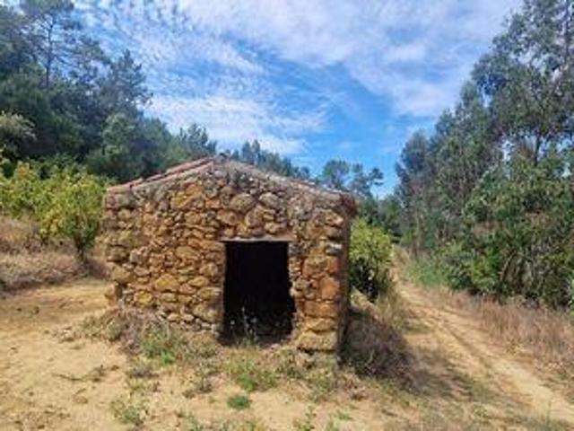 Terreno venda em Azueira e Sobral da Abelheira, Mafra