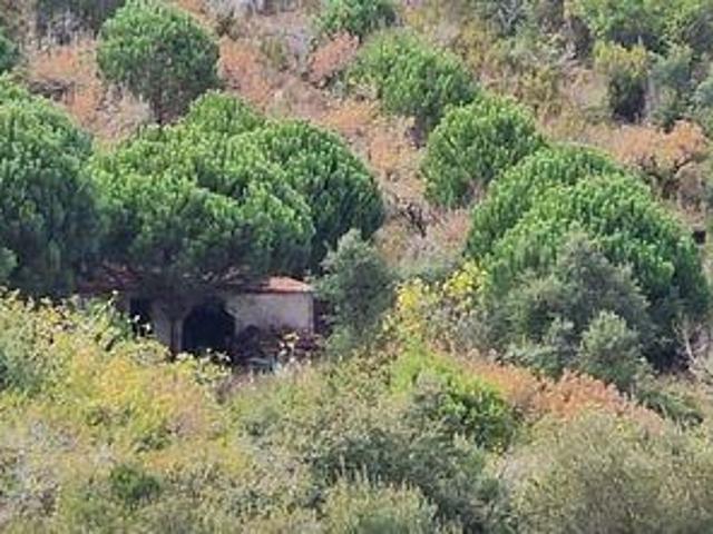 Terreno venda em Mafra, Lisboa