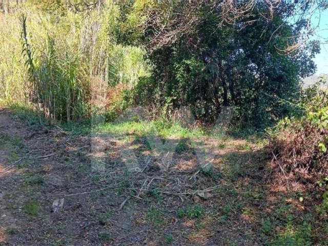 Terreno venda em Rocheira, Mafra