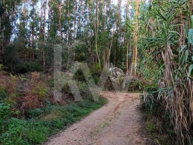 Terreno venda em Alcainça Grande, Mafra