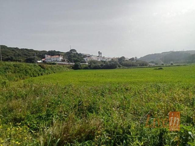 Terreno venda em Santo Isidoro, Mafra
