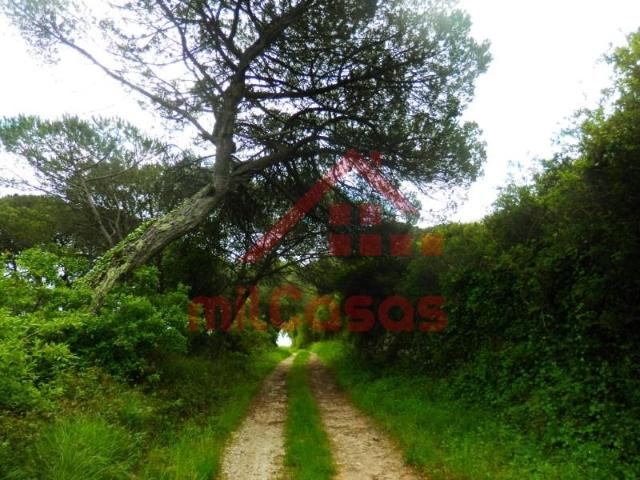 Terreno venda em Mata Pequena, Mafra