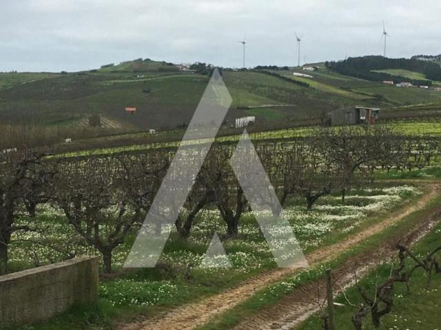 Terreno venda em Freiria, Torres Vedras