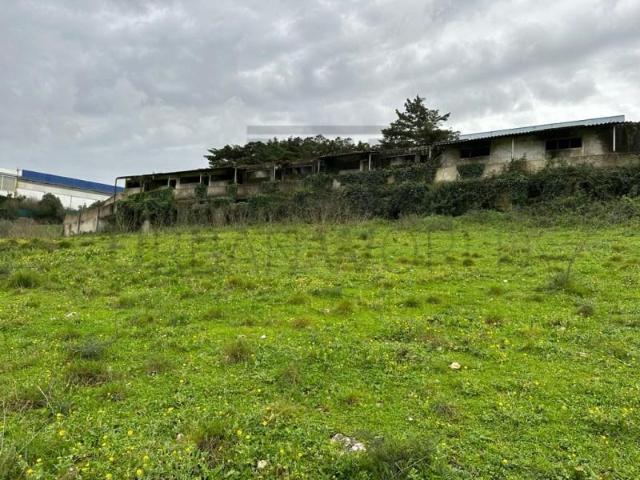 Terreno venda em Mafra, Lisboa