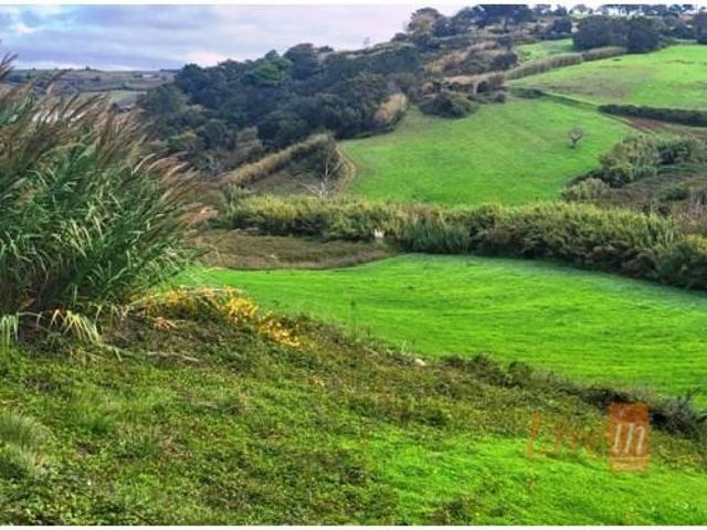 Terreno venda em Mafra, Lisboa