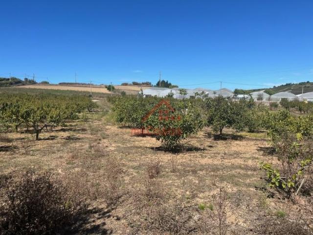 Terreno venda em Azueira e Sobral da Abelheira, Mafra