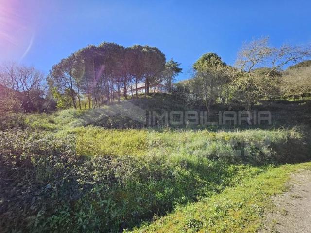 Terreno venda em Mafra, Lisboa