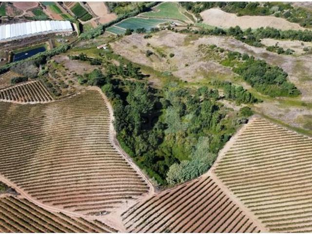 Terreno venda em Mafra, Lisboa