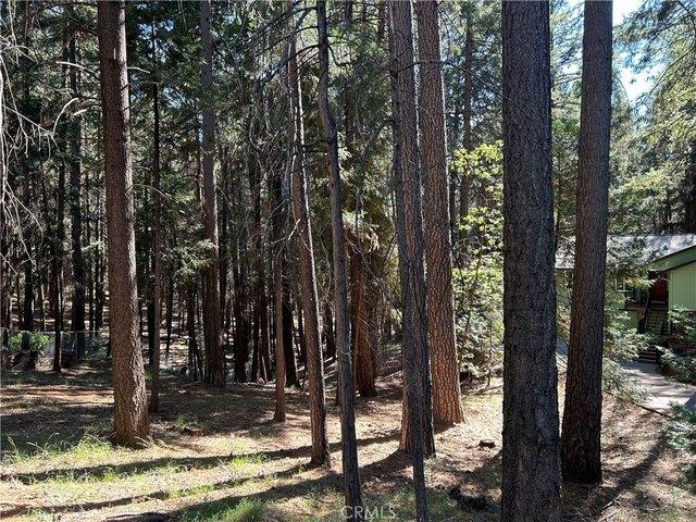 Land for sale in Butte, California