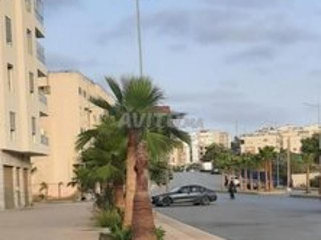 Local commercial vente à Témara