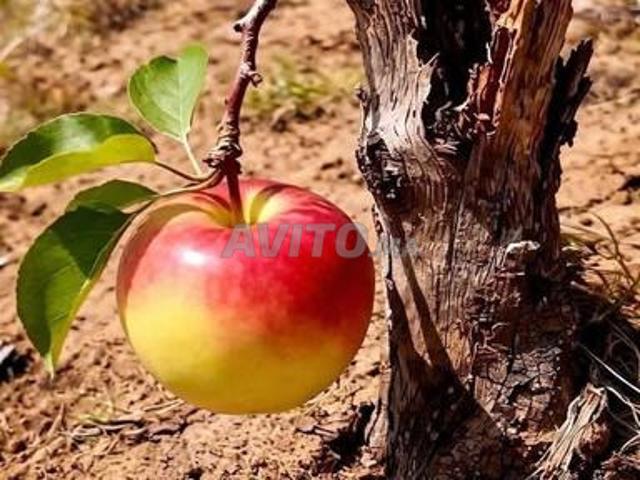 Local commercial vente à Anfa, Gharb-Chrarda-Beni Hssen