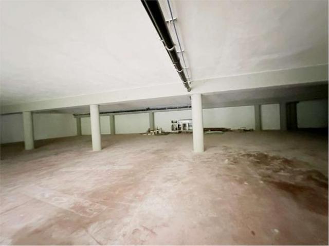 Capannone in affitto a Camigliano Santa Gemma, Capannori