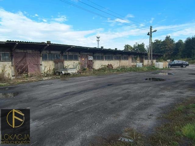 Mieszkanie do wynajęcia w Kalisz, Wielkopolskie
