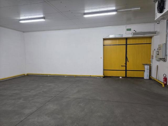 Mieszkanie do wynajęcia w Kalisz, Wielkopolskie