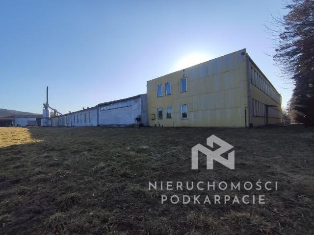 Komercyjne na sprzedaż w Dynów, Podkarpackie