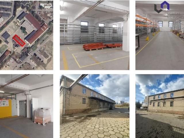 Komercyjne do wynajęcia w Katowice, Śląskie