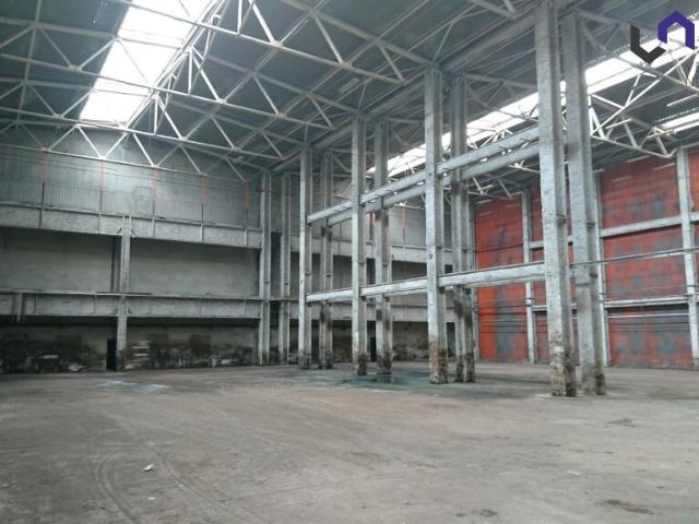 Komercyjne do wynajęcia w Katowice, Śląskie