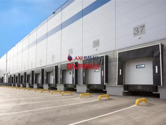 Komercyjne do wynajęcia w Plewiska, Wielkopolskie