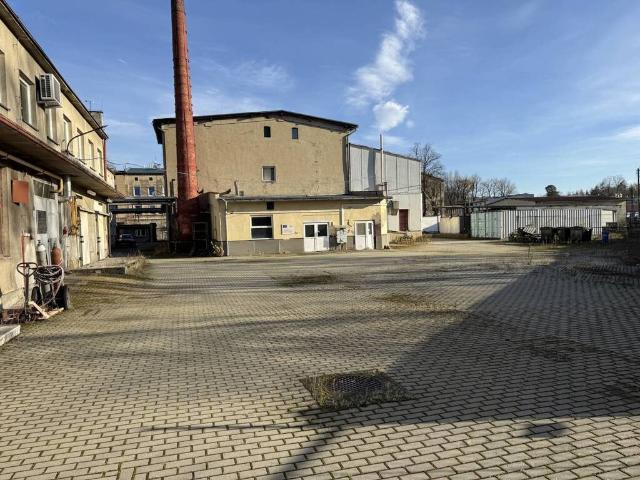Komercyjne na sprzedaż w Prudnik, Opolskie