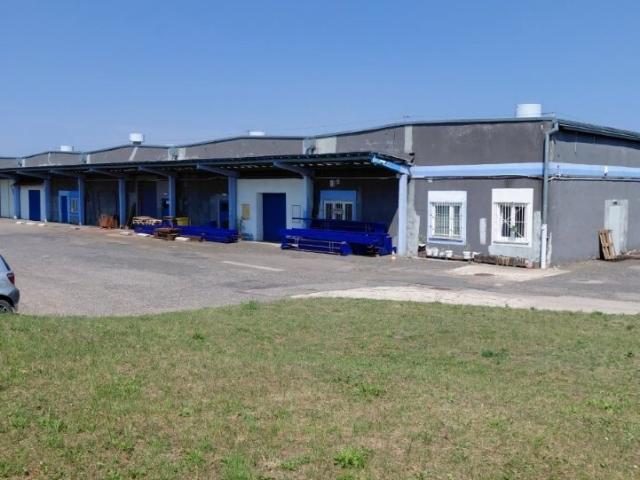 Komercyjne do wynajęcia w Radom, Mazowieckie
