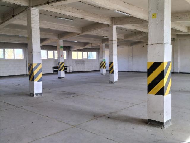 Komercyjne do wynajęcia w Sosnowiec, Śląskie