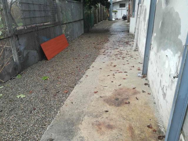 Capannone in affitto a San Donnino, Campi Bisenzio