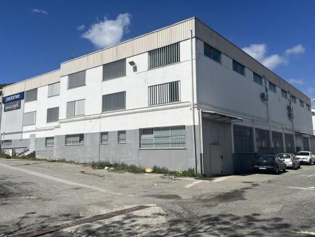 Capannone in affitto a Calabria, Catanzaro