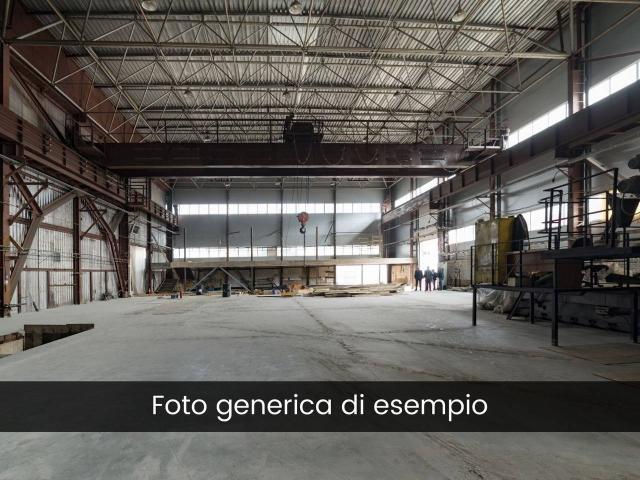 Capannone in affitto a Unione dei Comuni Circondario dell'Empolese Valdelsa, Empoli