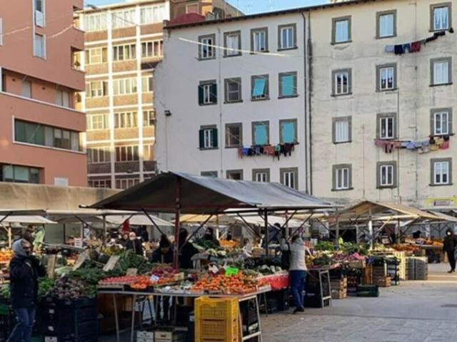 Capannone in affitto a Livorno, Toscana