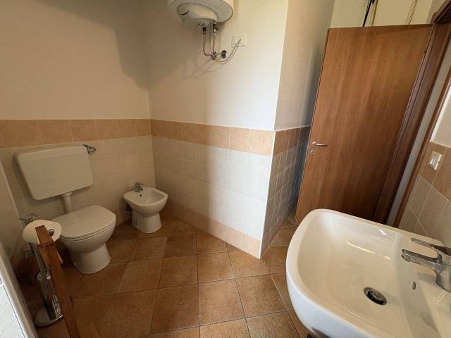 Capannone in affitto a Unione Comuni Modenesi Area Nord, Mirandola