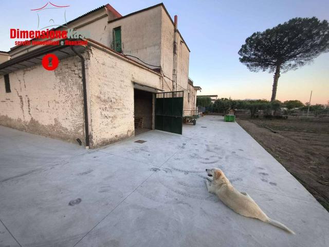 Capannone in affitto a San Felice A Cancello, Campania
