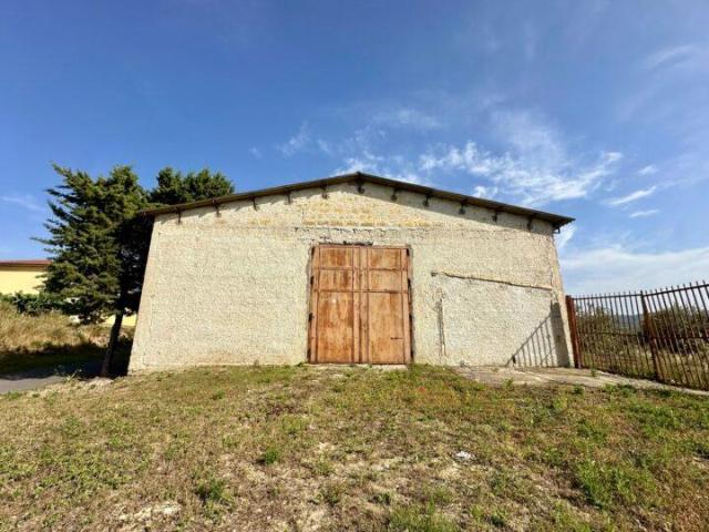 Capannone in affitto a Partinico, Palermo