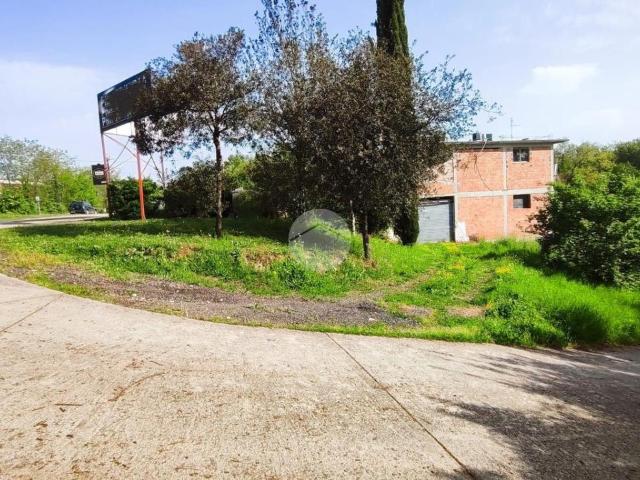 Capannone in affitto a Pignataro Interamna, Lazio
