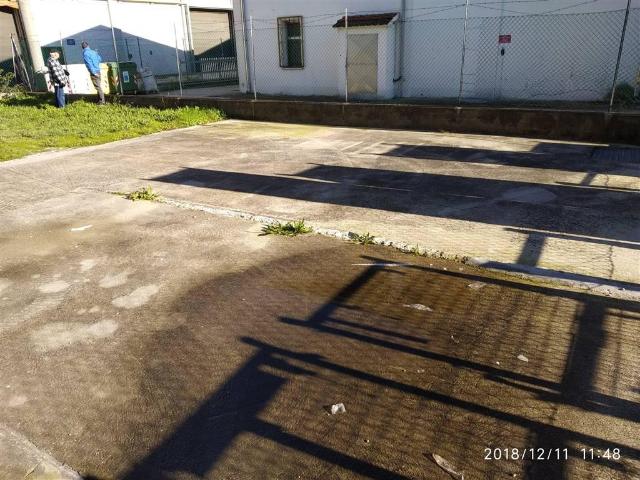 Capannone in affitto a Suzzara, Lombardia