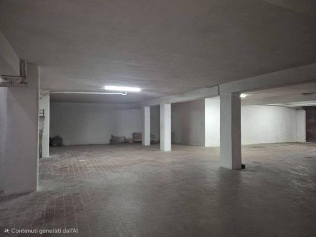 Capannone in affitto a Puglia, Barletta-andria-trani