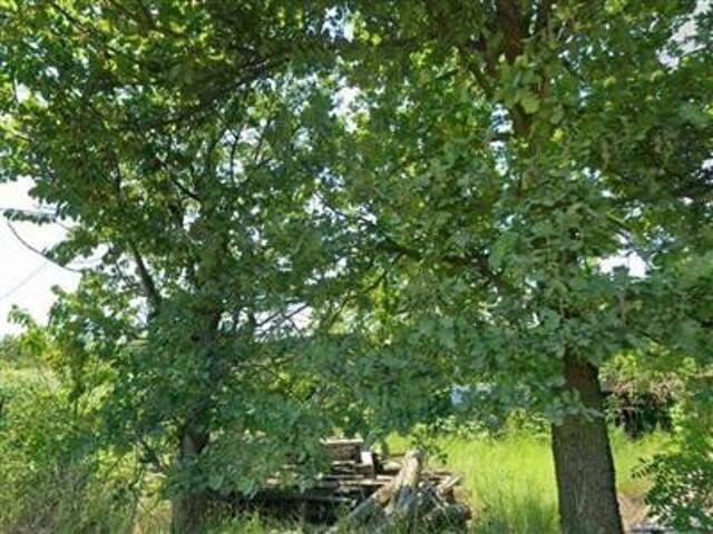 Capannone in vendita a Cascina Provanina, Leini