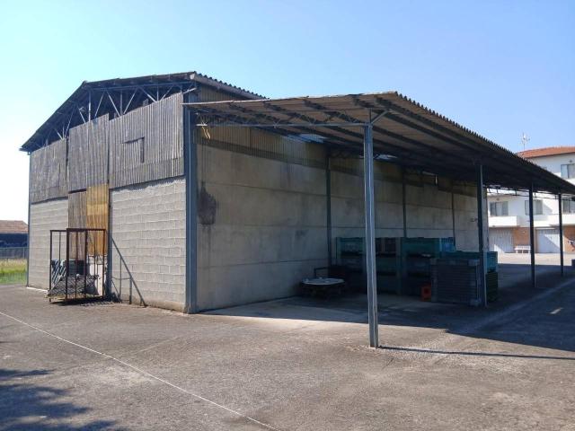Capannone in vendita a Navacchio, Cascina