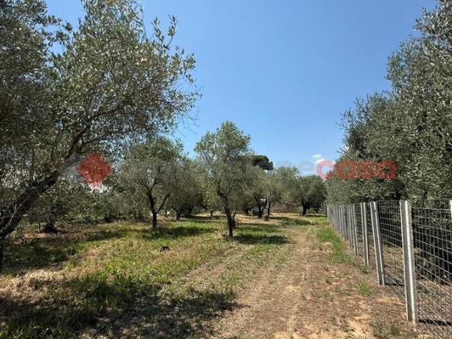 Capannone in vendita a Selvavetere, Salto Di Fondi
