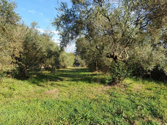 Capannone in vendita a Unione dei Comuni Circondario dell'Empolese Valdelsa, Castelfranco Di Sotto