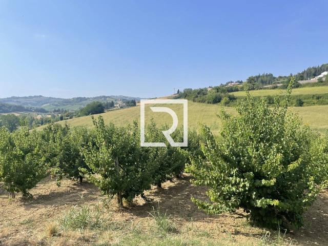 Capannone in vendita a Unione dei comuni Valle del Savio, Montiano