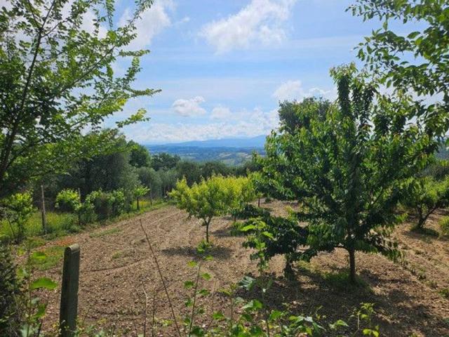 Capannone in vendita a Penna in Teverina, Terni