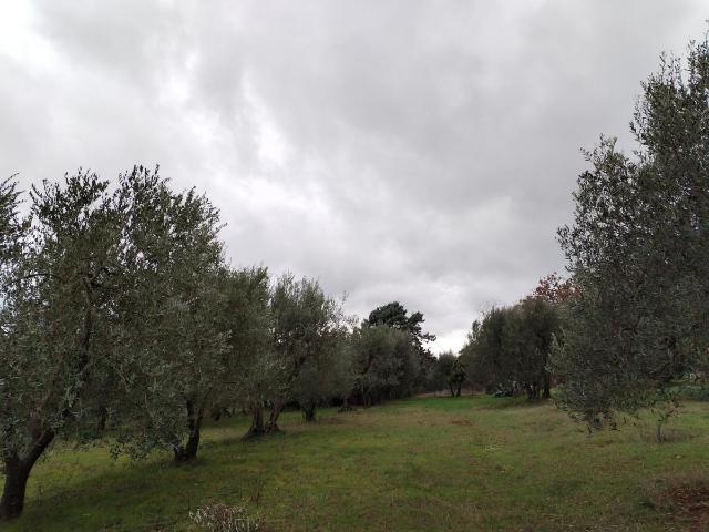 Capannone in vendita a Perugia, Sant'Erminio