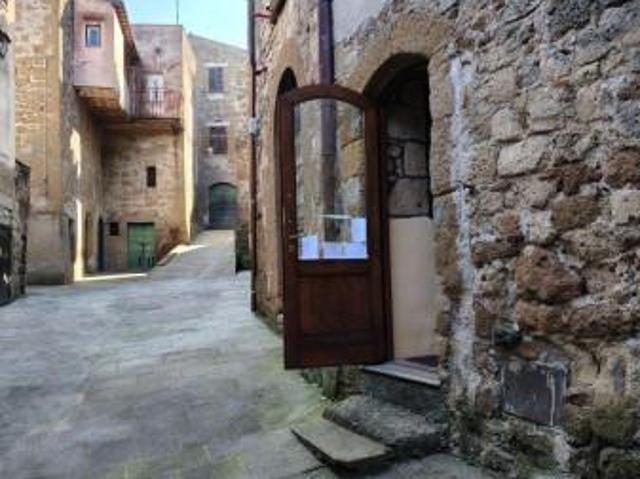 Capannone in vendita a Unione di Comuni Montani Colline del Fiora, Pitigliano