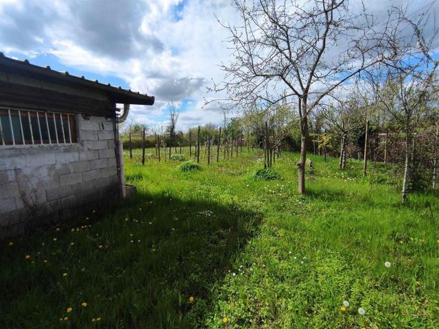 Capannone in vendita a Portogruaro, Veneto