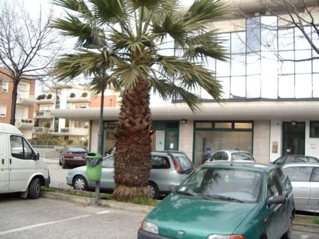 Capannone in vendita a Porto d'Ascoli centro, Marche